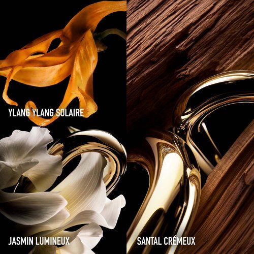 Million Gold for Her - Parfum RABANNE PARFUM Million Gold for Her - Parfum RABANNE PARFUM